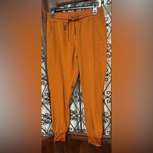 NWOT Rust Cargo Jogger Pants